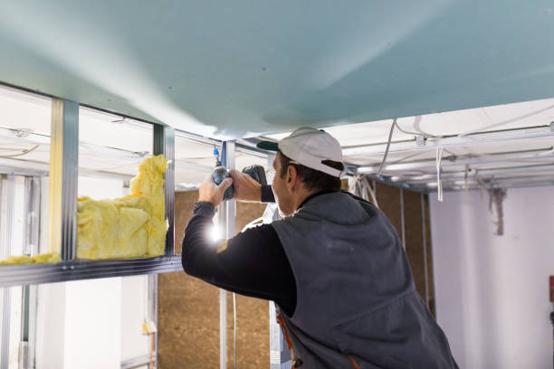 Best Commercial Insulation in Quinnesec, MI
