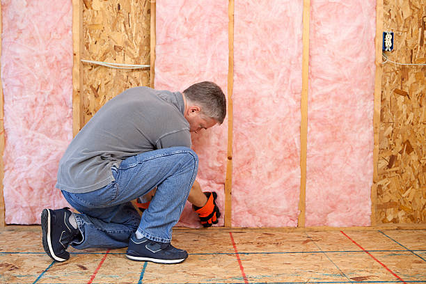 Best Insulation Maintenance and Repair in Quinnesec, MI